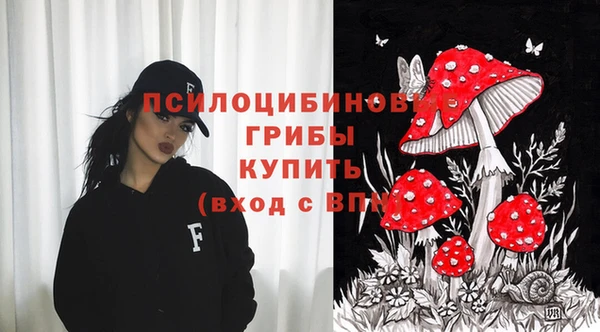 молекула духа Бронницы