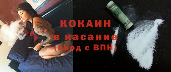 mdpv Бородино