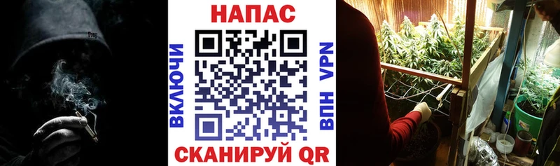 Бошки марихуана семена  Дигора 